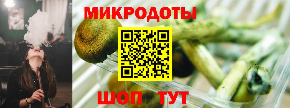 Псилоцибиновые грибы MAGIC MUSHROOMS  Вход с VPN  Пенза 